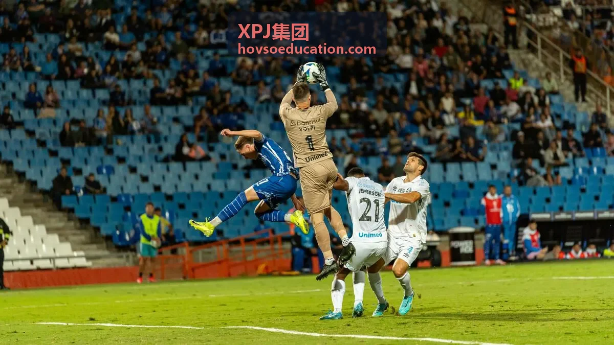 XPJ集团新能源投资案例